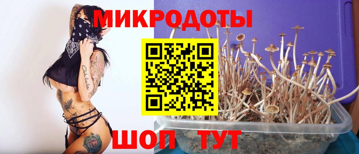 Ртищево  Псилоцибиновые грибы GOLDEN TEACHER  Вход с VPN 